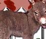First miniature donkey foal of the season, Wit's End Sweet Abilene!