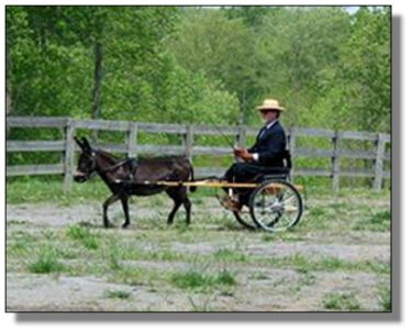 Cross County Driving Even