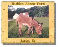 Hidden Acres Logo (8642 bytes)