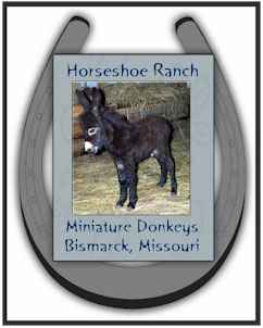 Horseshoe Ranch Miniature Donkeys - Logo designed by Dayle