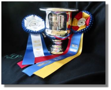 Champion Very Small Equine Division!