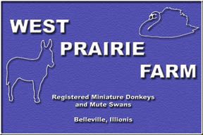 West Prairie Farm ~ Belleville, Illinois
