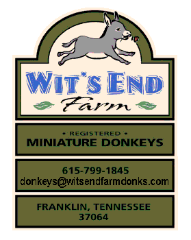 Welcome to Wit's End Farm Miniature Donkeys!