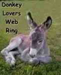 Donkey Lover's Web Ring